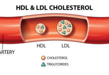 HDL và LDL