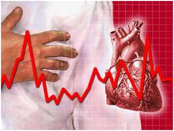 yếu tố nguy cơ tim mạch