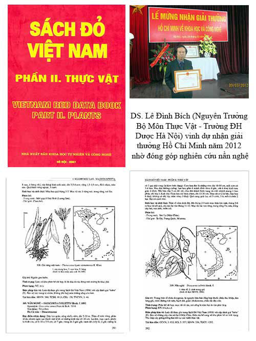 sách đỏ Việt Nam