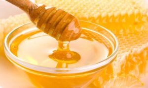 Uống nha đam và mật ong giúp điều trị bệnh gan nhiễm mỡ